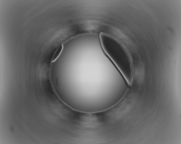 X0000114510421200910191137