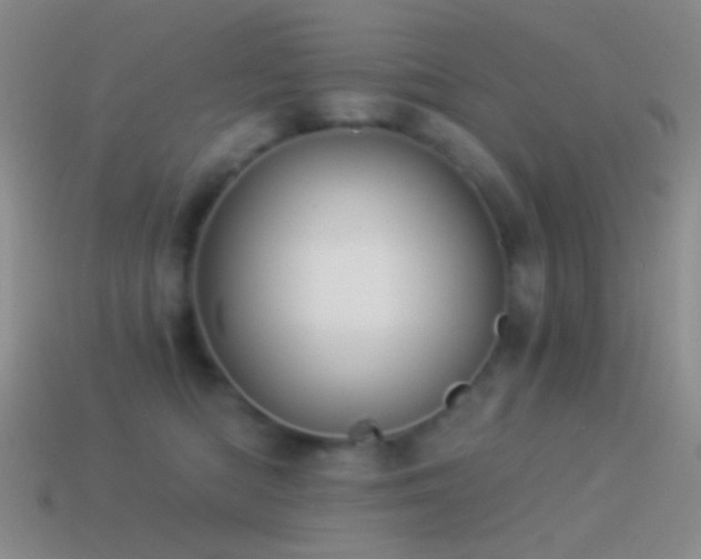 X0000114510422200910191137