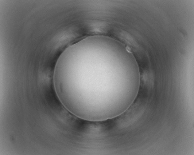 X0000114510423200910191137