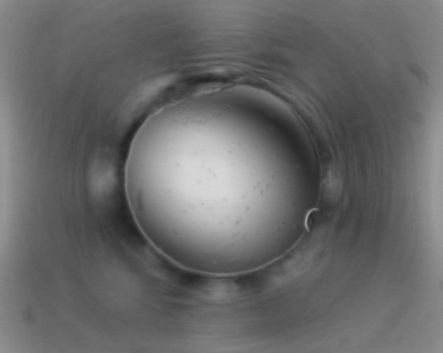 X0000114510424200910191137