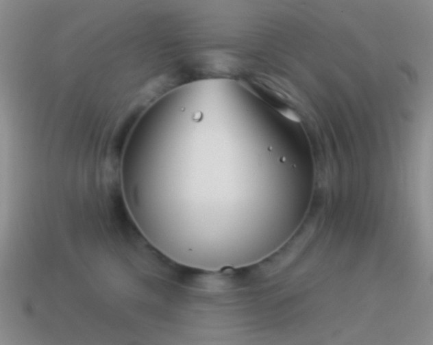 X0000114510425200910191137