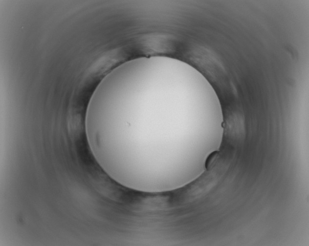 X0000114510426200910191137