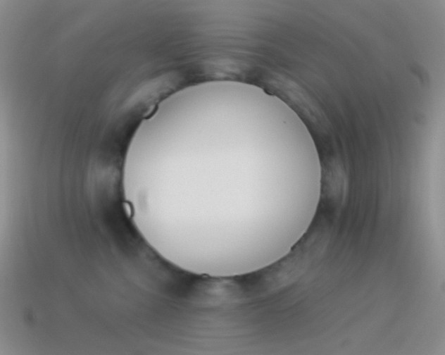 X0000114510427200910191137