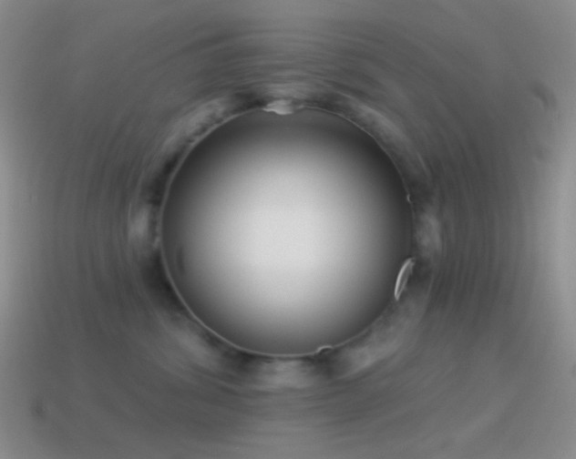 X0000114510428200910191137