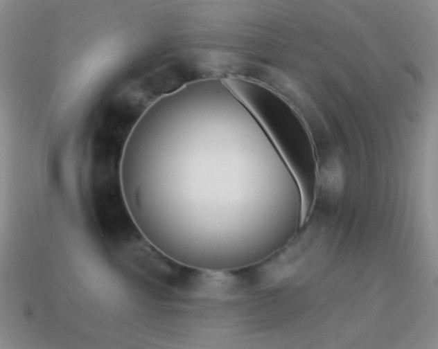 X0000114510429200910191137