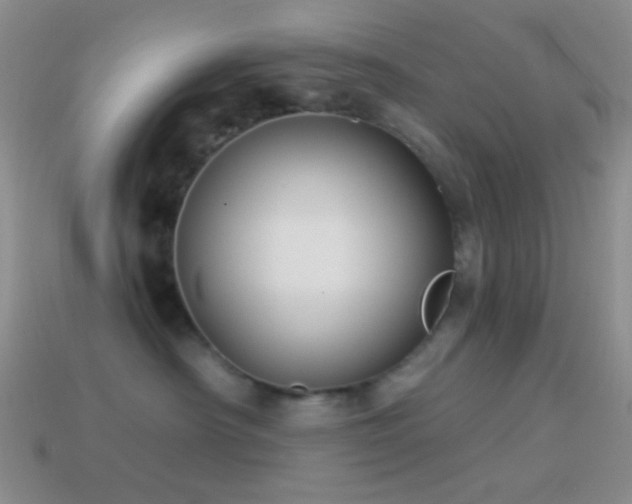 X0000114510430200910191137