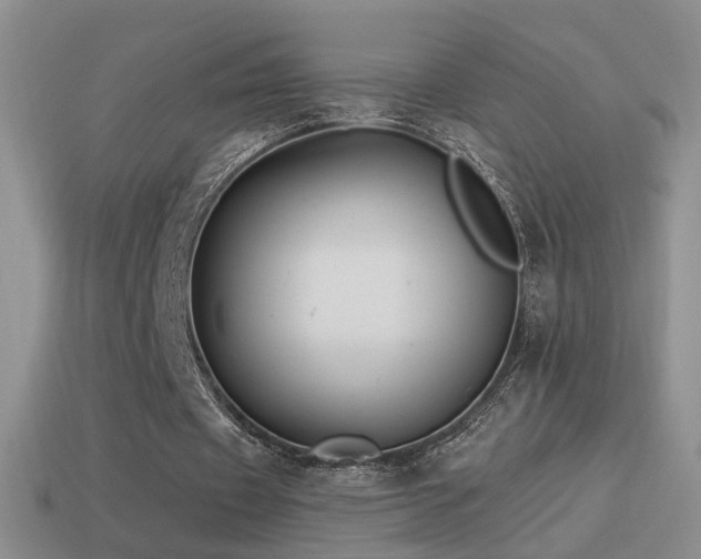 X0000114510433200910191136