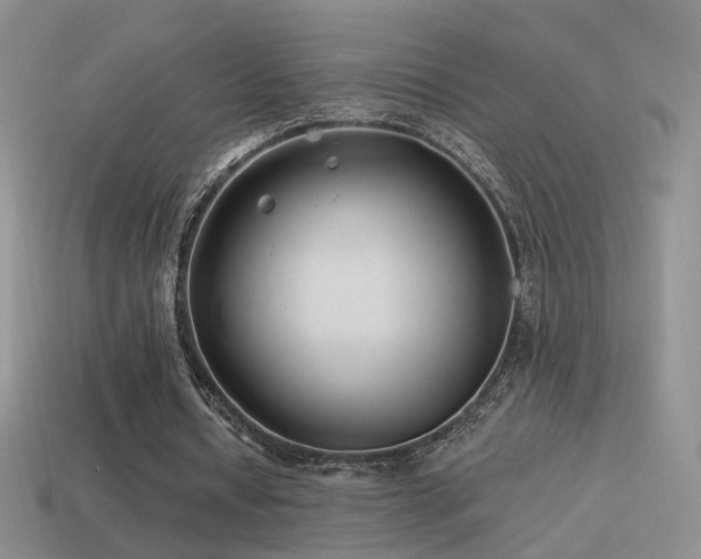 X0000114510434200910191136