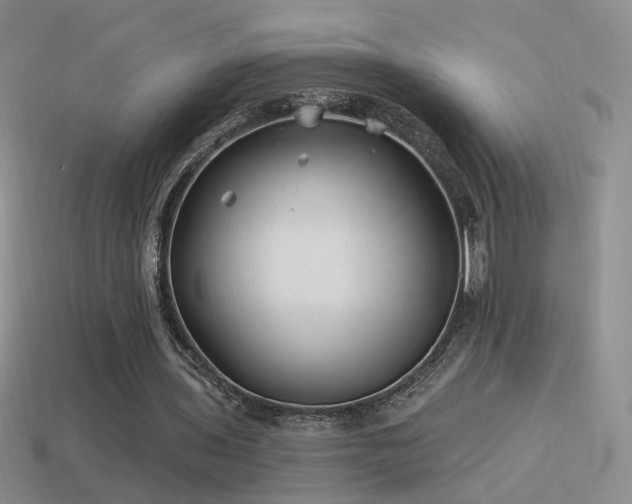 X0000114510435200910191136