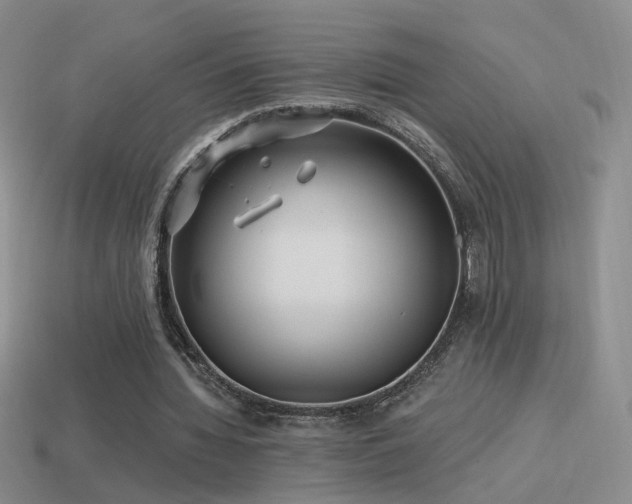 X0000114510436200910191136