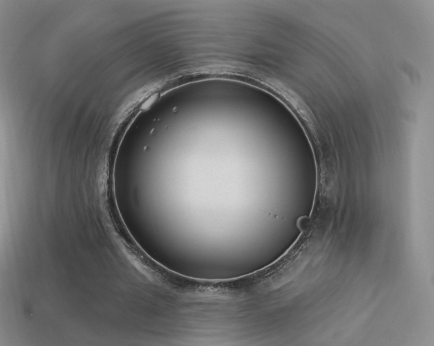 X0000114510437200910191136