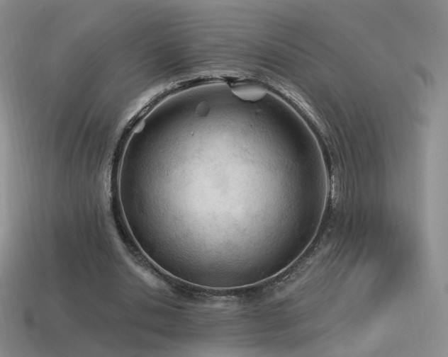 X0000114510438200910191136