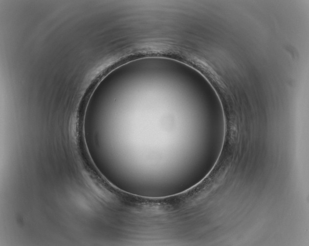 X0000114510439200910191136