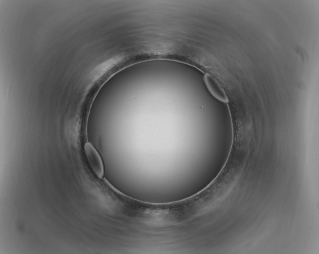 X0000114510440200910191136