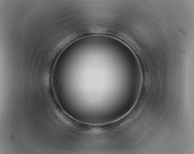 X0000114510441200910191136