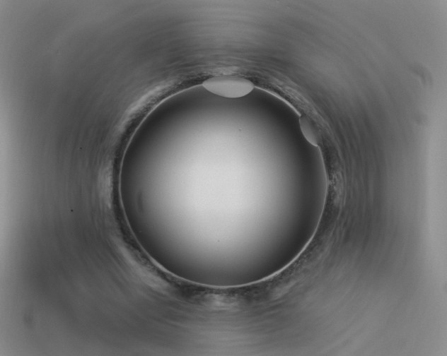 X0000114510442200910191137