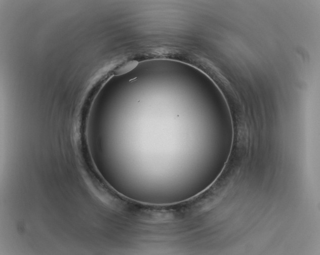 X0000114510443200910191137