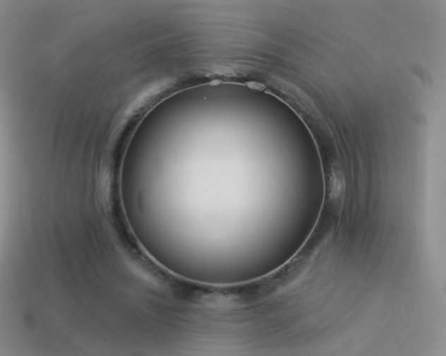 X0000114510444200910191137