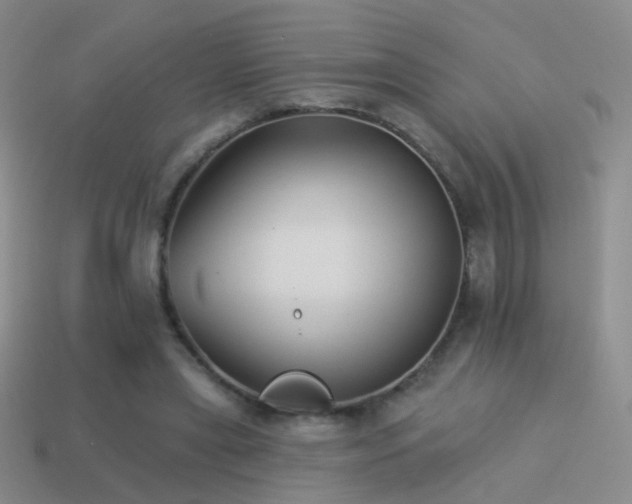 X0000114510445200910191137