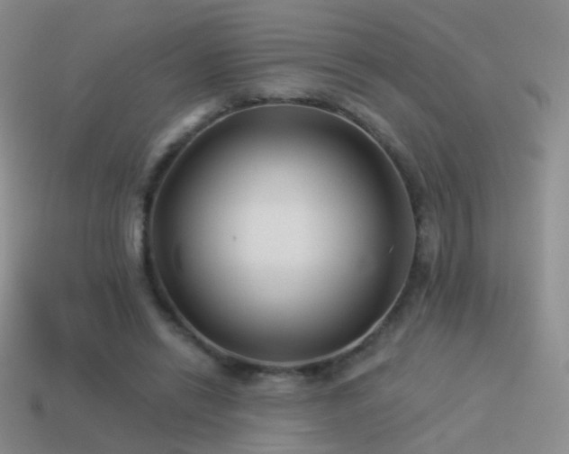 X0000114510446200910191137