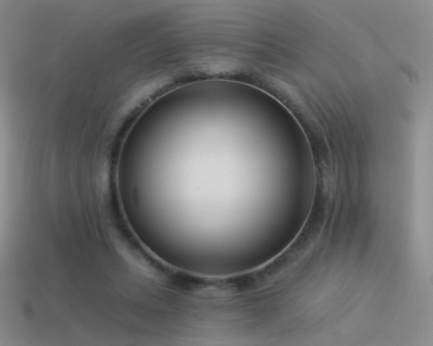 X0000114510447200910191137