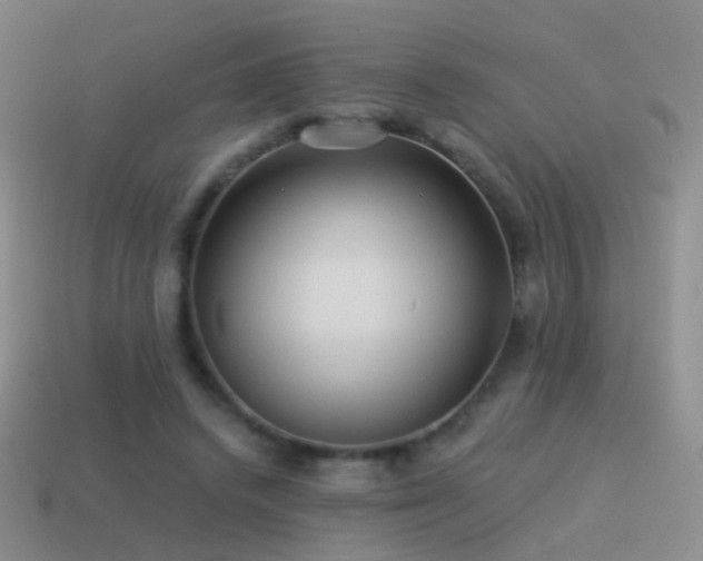 X0000114510448200910191137