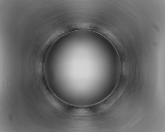 X0000114510449200910191137