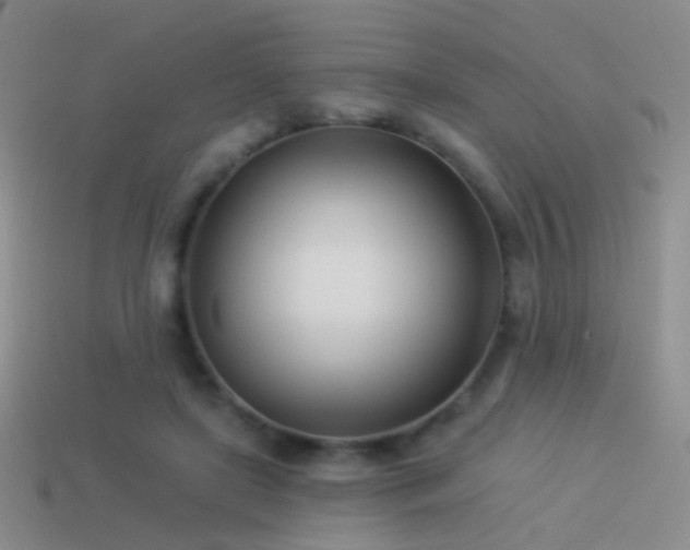 X0000114510451200910191137