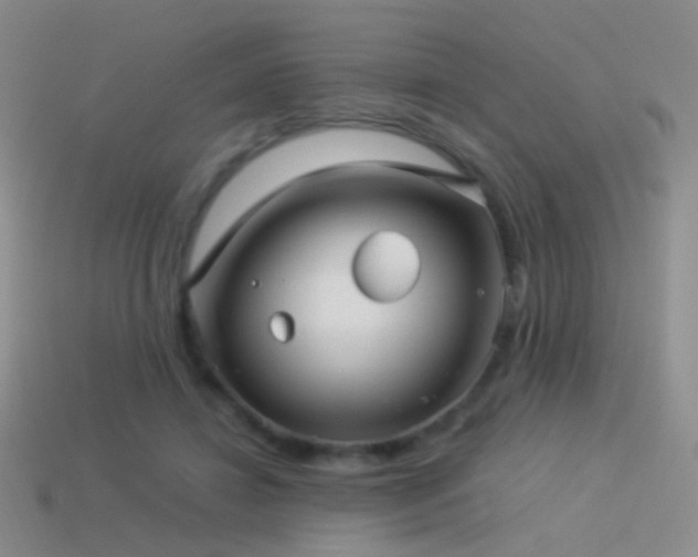 X0000114510452200910191137