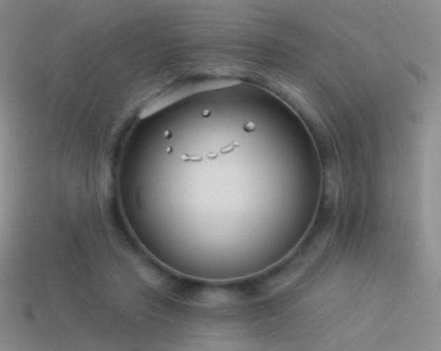 X0000114510453200910191137