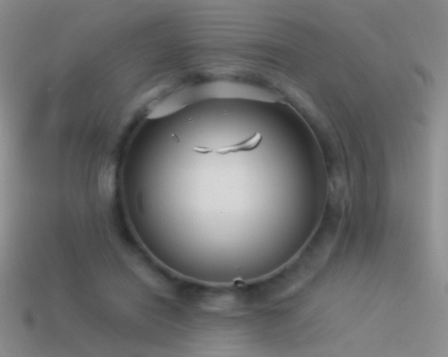 X0000114510454200910191137