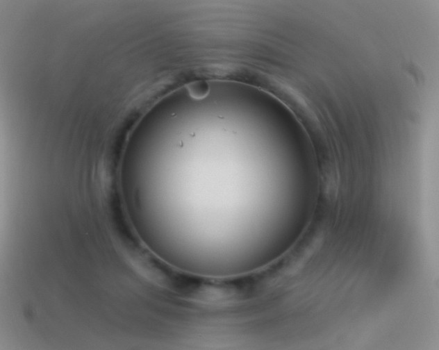 X0000114510455200910191137