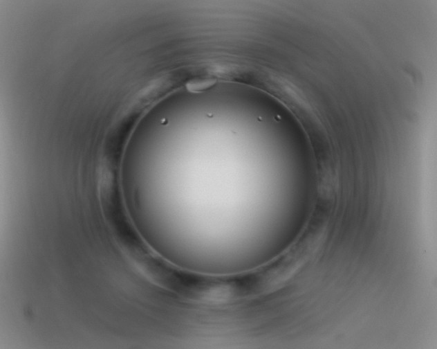 X0000114510456200910191137