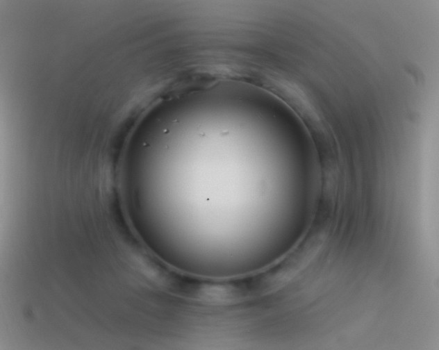 X0000114510457200910191137