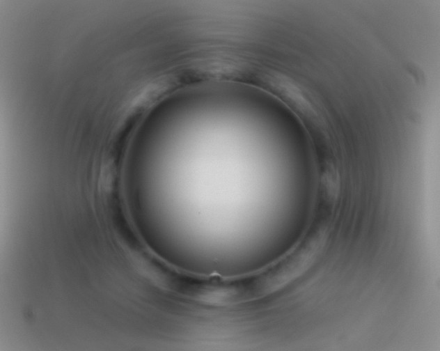 X0000114510458200910191137