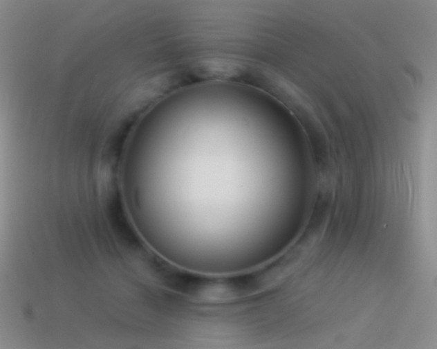 X0000114510460200910191137