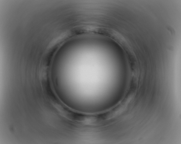 X0000114510462200910191137