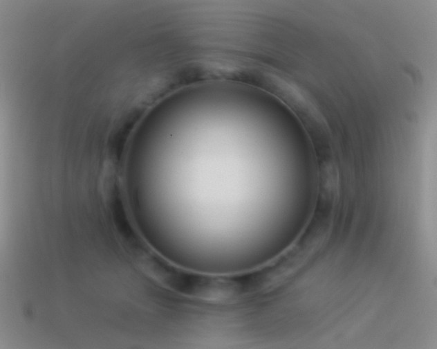 X0000114510463200910191137