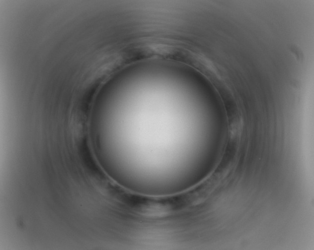 X0000114510464200910191137