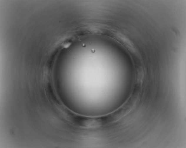 X0000114510465200910191137