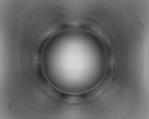 X0000114510466200910191137