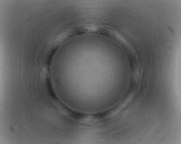 X0000114510467200910191137