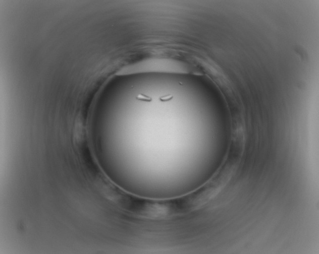 X0000114510469200910191137