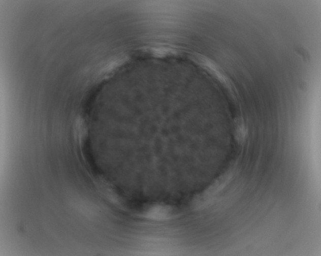 X0000114510471200910191137