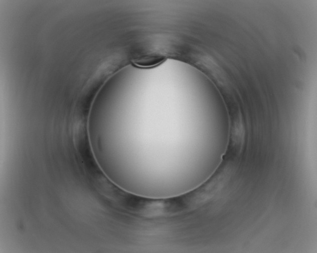 X0000114510473200910191137