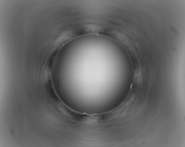 X0000114510474200910191137