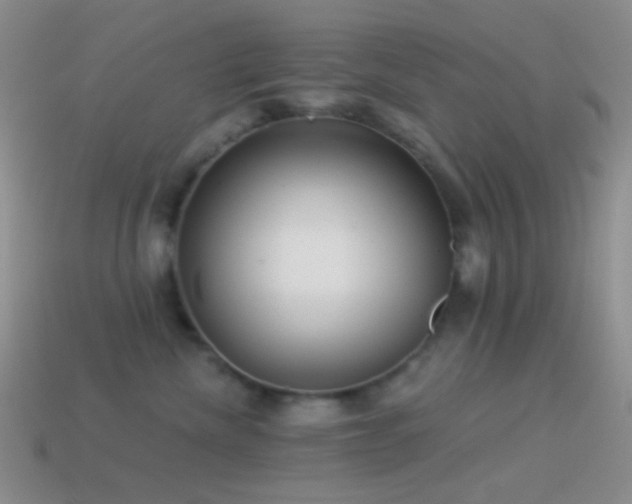 X0000114510476200910191137