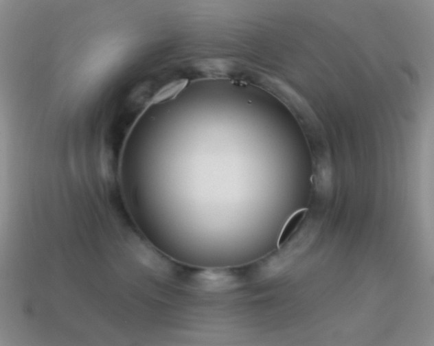 X0000114510477200910191137