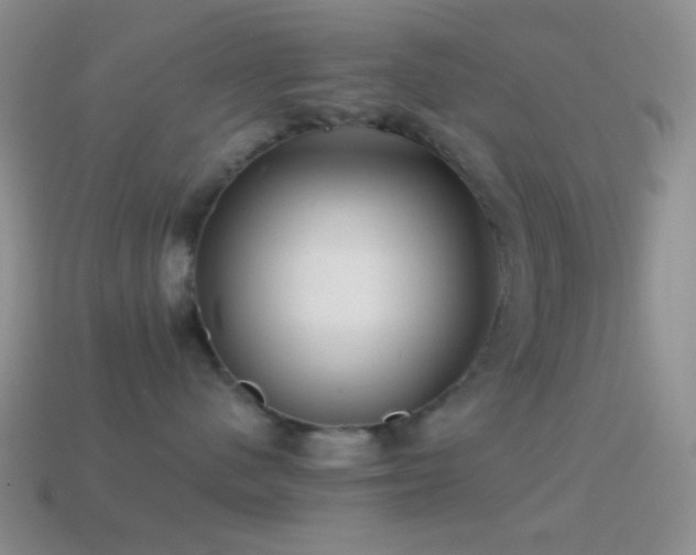 X0000114510480200910191137