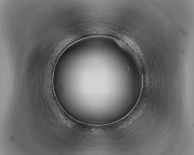 X0000114510481200910191136